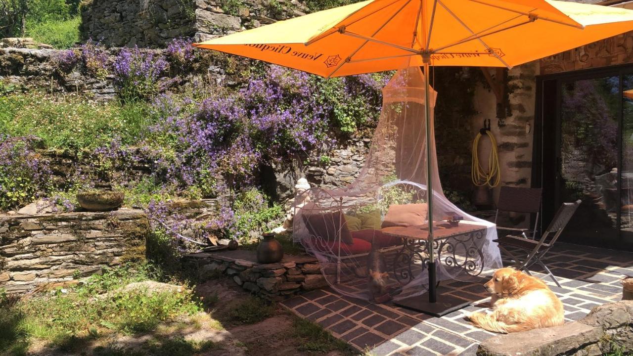 Gite Terra Bosca Cambounes Exterior foto